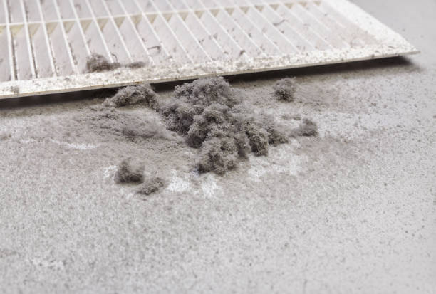 Best Commercial Air Duct Cleaning  in Homosassa, FL