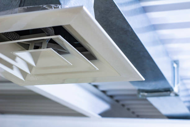 Best Professional Duct Cleaning Services  in Homosassa, FL