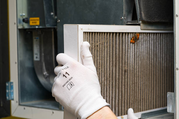 Best Home Air Vent Cleaning  in Homosassa, FL