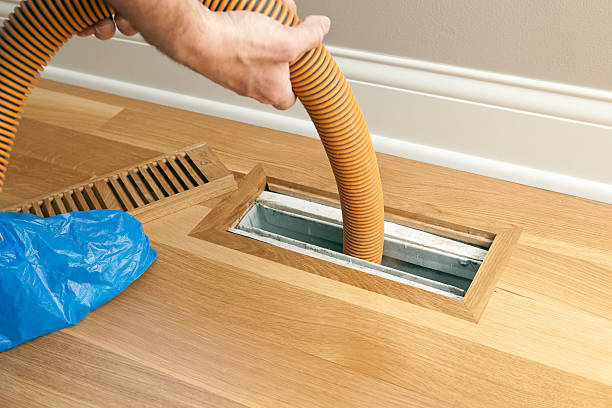 Best Affordable Air Duct Cleaning  in Homosassa, FL