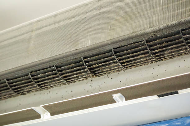 Best HVAC Duct Inspection Services  in Homosassa, FL